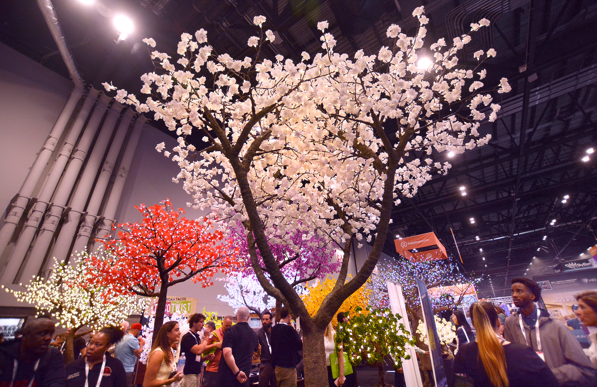 A colorful display by the Illuminated Trees company.